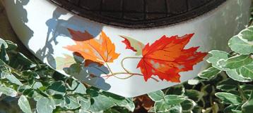 ​ FE BELGIUM vintage MAPLE LEAF gietijzer steelpan Ø28 (G305 beschikbaar voor biedingen