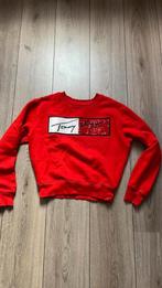 Tommy hilfiger trui maat 176 als nieuw, Ophalen of Verzenden, Zo goed als nieuw, Jongen, Trui of Vest