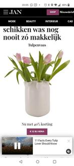 Gezocht  witte tulpenvaas Hema, Huis en Inrichting, Woonaccessoires | Vazen, Ophalen of Verzenden, Wit, Aardewerk of Porselein