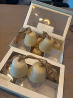 Riviera Maison Christmas bells 2 dozen totaal 12 stuks, Ophalen of Verzenden, Zo goed als nieuw