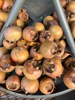 Mispels te koop, Ophalen of Verzenden