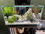 Fluval Edge Aquarium Zwart + Vuurgarnalen en Accessoires, Dieren en Toebehoren, Vissen | Aquaria en Toebehoren, Ophalen, Gebruikt