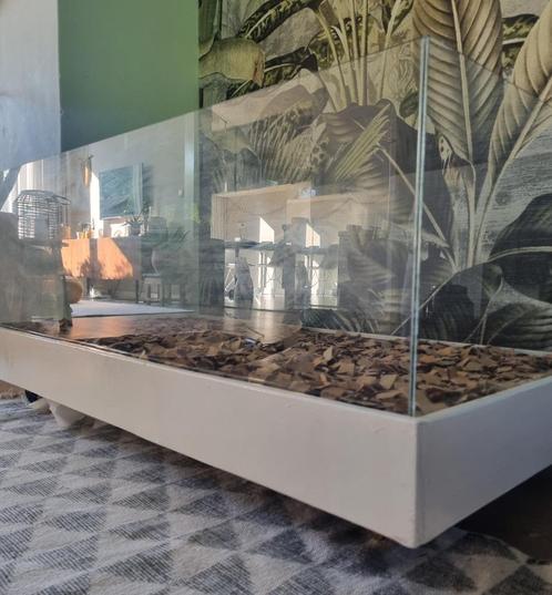 Terrarium knaagdieren verblijf kooi muis rat hamster gerbil, Dieren en Toebehoren, Knaagdieren en Konijnen | Toebehoren, Zo goed als nieuw