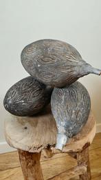 3 gedecoreerde Baobab zaden, Ophalen of Verzenden