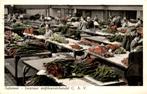 Aalsmeer Interieur snijbloemenhandel C.A.V. # 238, Verzenden, 1920 tot 1940, Gelopen, Noord-Holland