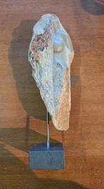 Stenen beeld torso op marmeren voet, Verzamelen, Beelden en Beeldjes, Ophalen of Verzenden, Zo goed als nieuw, Mens