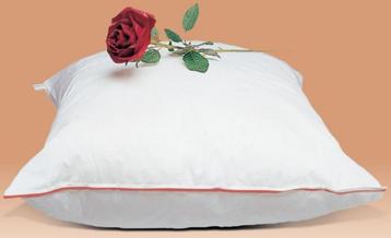 Hoofdkussen Classic.  Anti Nekpijn. beschikbaar voor biedingen