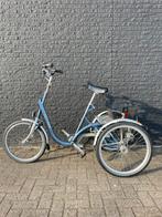 Vaan Raam Maxi driewielfiets (niet elektrisch), Ophalen, Gebruikt, Van Raam