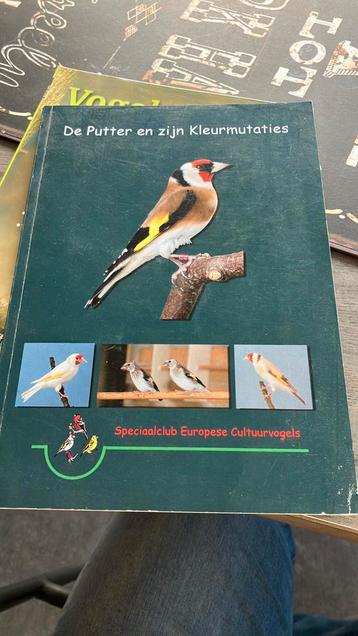 De putter en zijn kleurmutaties beschikbaar voor biedingen