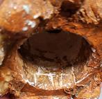 605. Keramisch beeld, vrouwenhoofd met glazuur, 20e/21e eeuw, Antiek en Kunst, Kunst | Beelden en Houtsnijwerken, Ophalen of Verzenden