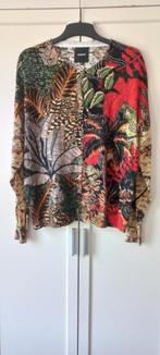 Desigual vest maat XXL(44) zgan, Desigual, Ophalen of Verzenden, Zo goed als nieuw, Maat 42/44 (L)