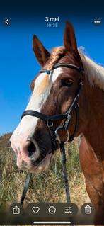 Rambo Micklem hoofdstel zwart, Dieren en Toebehoren, Paarden en Pony's | Hoofdstellen en Tuigage, Ophalen of Verzenden