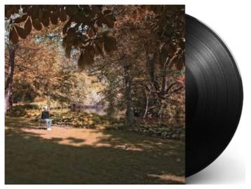 Vinyl LP Spinvis 7.6.9.6. GESIGNEERD Vinyl NIEUW beschikbaar voor biedingen