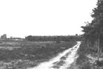 990211 Ermelo Bosch en Heide Gld 1950 Gelopen met postzegel, Verzamelen, Ansichtkaarten | Nederland, Ophalen of Verzenden, 1940 tot 1960