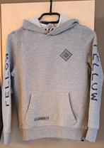 Grijze Hoody Maat 146, Jongen of Meisje, Trui of Vest, Ophalen of Verzenden, Zo goed als nieuw
