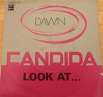 Dawn > Candida, Gebruikt, 7 inch, Single, Ophalen of Verzenden