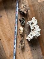 Aquarium stenen, Dieren en Toebehoren, Vissen | Aquaria en Toebehoren, Ophalen of Verzenden, Gebruikt, Plant(en), Steen of Hout