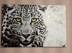 Nieuw Glas Schilderij - Luipaard 80x120, Huis en Inrichting, Nieuw, Ophalen of Verzenden, Schilderij, 75 tot 100 cm