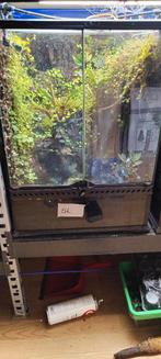 Exo terra  45x45x60 Terrarium Paludarium Gifkikkers, Dieren en Toebehoren, Reptielen en Amfibieën | Toebehoren, Ophalen, Gebruikt