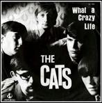 the Cats: What a crazy life., Cd's en Dvd's, Ophalen of Verzenden
