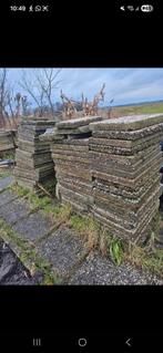 Gratis tegels ophalen in Uitgeest, Ophalen, Gebruikt, 10 m² of meer, Beton