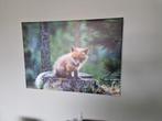 Super schattige foto schilderij van klein vosje, Ophalen of Verzenden