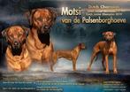 Rhodesian Ridgeback pups met stamboom 2026, Nederland, Overige rassen, CDV (hondenziekte), 8 tot 15 weken