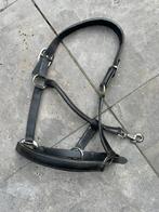 Zwart leren halster Cob, Ophalen of Verzenden, Nieuw, Overige soorten