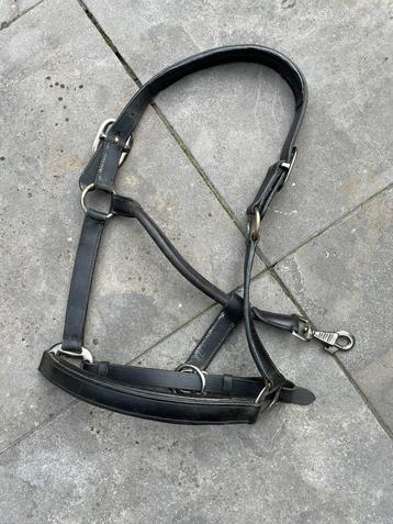 Zwart leren halster Cob beschikbaar voor biedingen