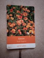 Geum, Nagelkruid, Tuin en Terras, Planten | Tuinplanten, Ophalen, Bodembedekkers, Volle zon, Vaste plant