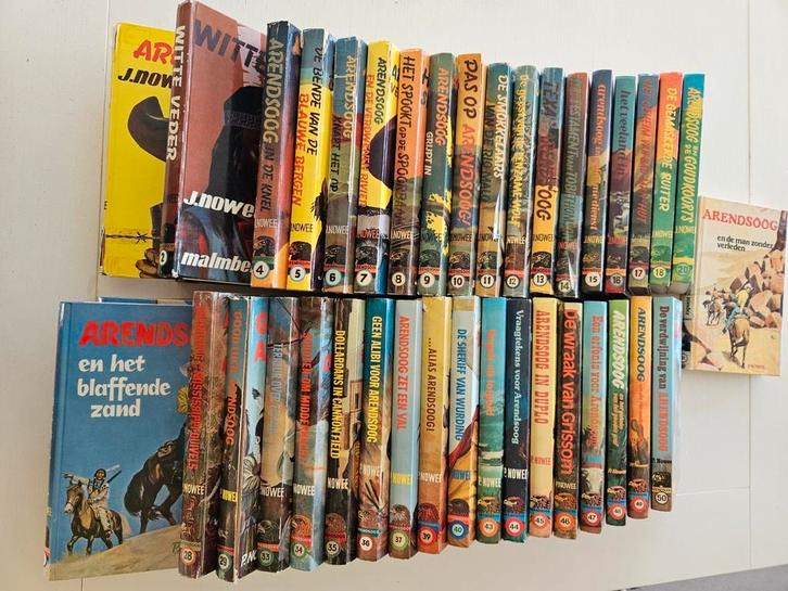 Bijna complete serie Arendsoog, Boeken, Kinderboeken | Jeugd | 10 tot 12 jaar, Gelezen, Ophalen of Verzenden