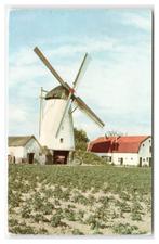 Didam, Ronde Stenen Korenmolen, Verzamelen, Ansichtkaarten | Nederland, Verzenden, 1960 tot 1980, Ongelopen, Gelderland