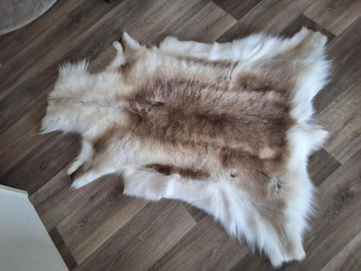 Mooi echt rendieren vacht zgan alléén als decoratie, Huis en Inrichting, Woonaccessoires | Wanddecoraties, Zo goed als nieuw, Ophalen of Verzenden