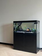 Aqualantis aquarium te koop kleur zwart., Ophalen of Verzenden, Zo goed als nieuw, Leeg aquarium
