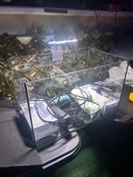 25 liter aquarium set, Ophalen, Gebruikt, Leeg aquarium