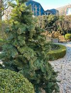 Kunst kerstbomen prijs voor beide Incl mand, Tuin en Terras, Overige soorten, Ophalen of Verzenden