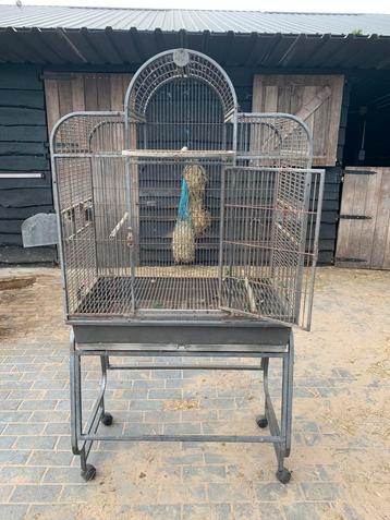 Vogelkooi gebruikt maar zeker niet slecht beschikbaar voor biedingen