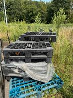 Kunststof pallets., Doe-het-zelf en Verbouw, Steigers, Ophalen, Zo goed als nieuw, Rolsteiger of Kamersteiger, Minder dan 2 meter