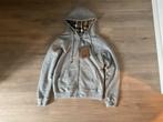 Grijze Burberry Vest, Kleding | Heren, Truien en Vesten, Overige maten, Ophalen of Verzenden, Zo goed als nieuw, Grijs