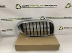 Grill Nier Rechts BMW 5 Serie G30 G31 M-PAKKET 51137390864, Auto-onderdelen, Gebruikt, Ophalen of Verzenden, BMW, BMW