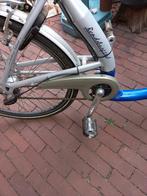 E.bike.accu is leeg, Ophalen of Verzenden, Zo goed als nieuw, Overige merken