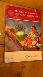 Methodiek en begeleiden voor MZ, ISBN 97890372440766, Boeken, Ophalen of Verzenden, Zo goed als nieuw, B. Becker; M. Beers, Nederlands