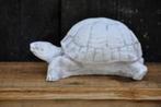 betonnen beeld / schildpad, Tuin en Terras, Tuinbeelden, Ophalen, Nieuw, Beton, Dierenbeeld