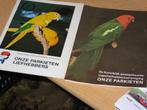 papegaaien en parkieten, Meerdere dieren, Papegaai