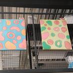 Schilderijen - Lijsten  steeds wisselend, Ophalen, Gebruikt, Hout, 75 cm of meer