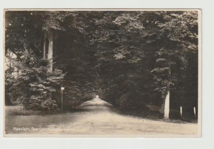 A 06 Haarlem. Spanjaardslaan, Verzamelen, Ansichtkaarten | Nederland, Gelopen, Noord-Holland, 1920 tot 1940, Ophalen of Verzenden