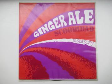  GINGER - ALE # SCOOBIDAD / SUGAR SUZY( piraten kneiter) beschikbaar voor biedingen