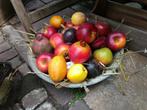 kunst appels of pompoenen ter decoratie net echt, Ophalen of Verzenden, Zo goed als nieuw