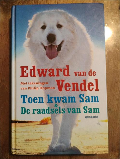 Edward van de Vendel - Toen kwam Sam & De raadsels van Sam, Boeken, Kinderboeken | Jeugd | onder 10 jaar, Zo goed als nieuw, Ophalen of Verzenden