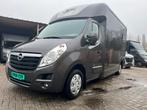 Opel Movano Horsebox STX 2017  39.000 km | Marge-auto, Ophalen, Zo goed als nieuw, Overige materialen, Overige typen